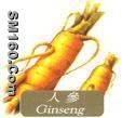ginseng extract(sales5 at lgberry dot com dot cn )