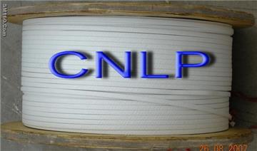 NOMEX Paper Wrapped Wire