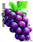 Grape Seed P.E.(sales5 at lgberry dot com dot cn )