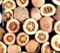 Citrus Aurantium P.E.(sales5 at lgberry dot com dot cn )