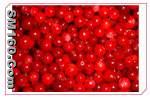 lingonberry powder(sales5 at lgberry dot com dot cn )
