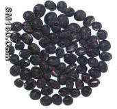 Black soybean Hull extract(black bean peel extract)(sales25 at lgberry