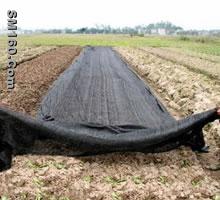 Shade Mesh in Plastic