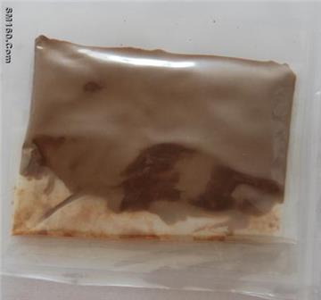 Coleus forskohlii (Willd.) Briq. Extract