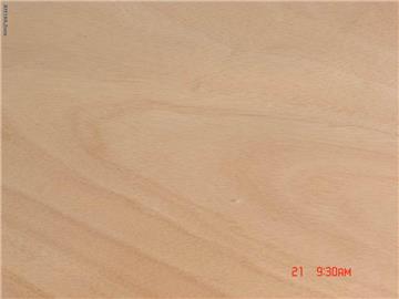 Rotary Okoume Veneer