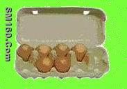 egg tray