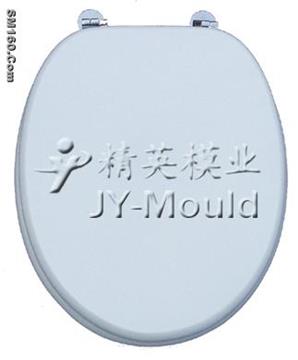 injection mold,platic mold ,toilet mold of h