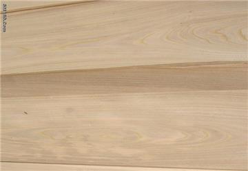elm veneer