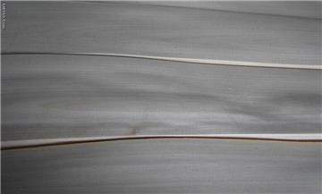 chinese white birch veneer