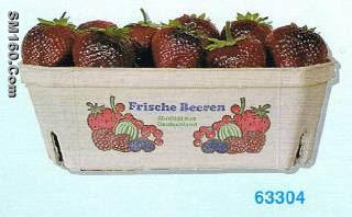 Fruit packing machine