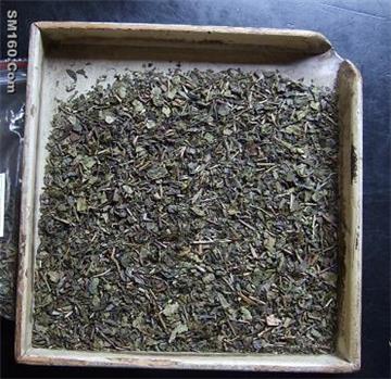 China green tea gunpowder 9575