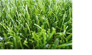 ACTurf M (40, 50, 60)