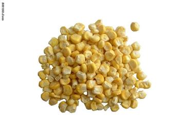 Freeze Dried Sweet Corn