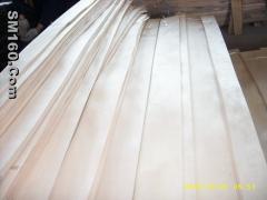 Chinese maple Veneer