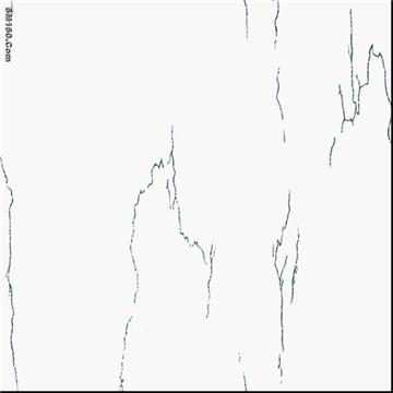 super whte with snow porcelain tiles SW004