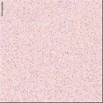 salt and pepper porcelain tile PCT021-2