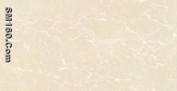 60*120cms porcelain tiles N12603