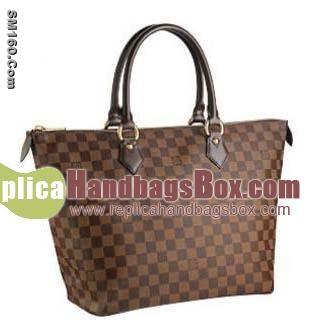 Damier Canvas Saleya MM N51182
