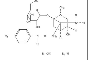 White Peony Root P.E.