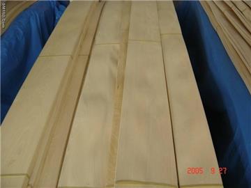 Golden Birch veneer