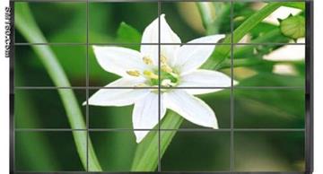 Aladdin Video Conference LCD Wall