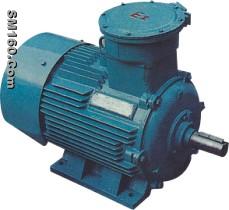 flame-proof three-phase induction motor