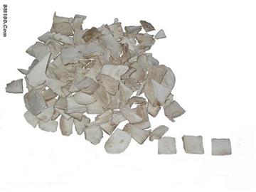 Freeze Dried  Mushroom