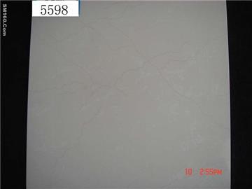 long term supply soluble salt porcelain tiles 5598