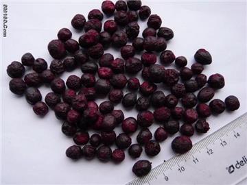 Sell Freeze Dried Blueberry
