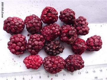Dried Blackberry