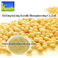 Soybean Isoflavones