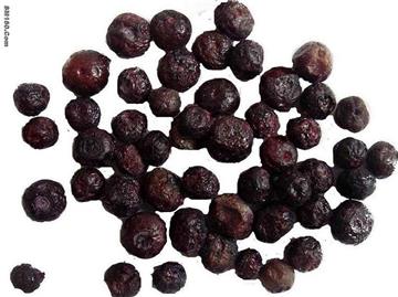 Sell Freeze Dried Blueberry whole