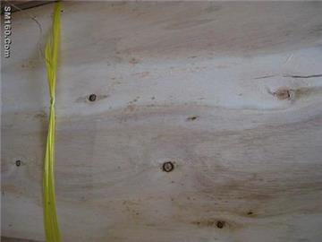 Eucalyptus Core Veneer