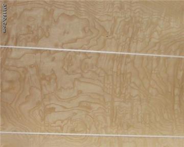 American ash burl veneer 