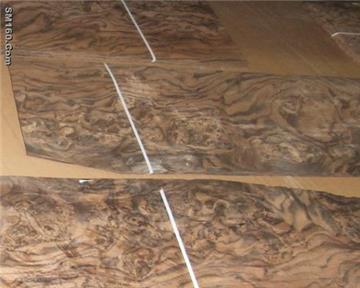 American walnut burl veneer