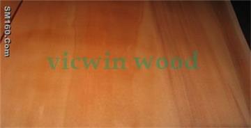 rotary cut agathis veneer