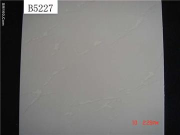apply  soluble salt porcelain tilesB5227