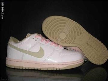 Dunk SB  shoes 