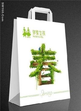 supply paper shopping bag (11E)