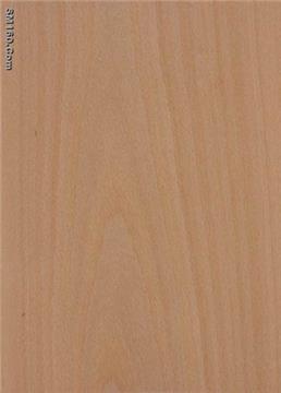 steamed beech veneer