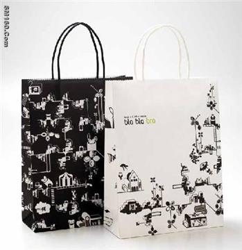 supply paper shopping bag (16E)