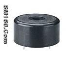 China Piezo Buzzer Supplier