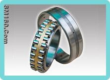 Double Row Cylindrical Roller Bearings 