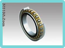 Single Row Full Complement Cylindrical roller bearing