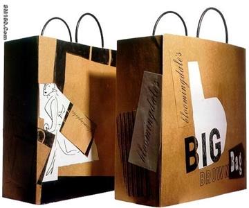supply paper shopping bag (22E)
