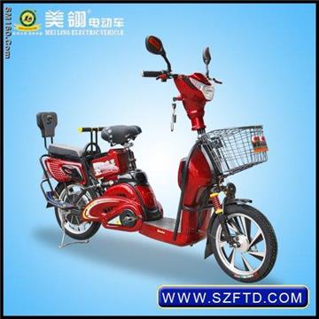 JNW electric bike with CE