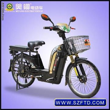 DSN electric bike with CE