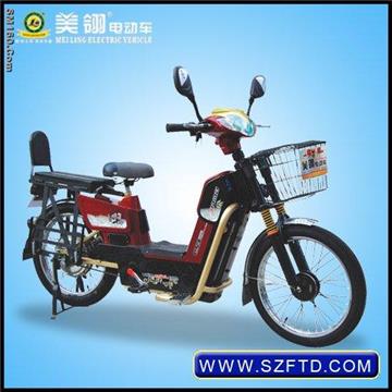 YZS electric bike