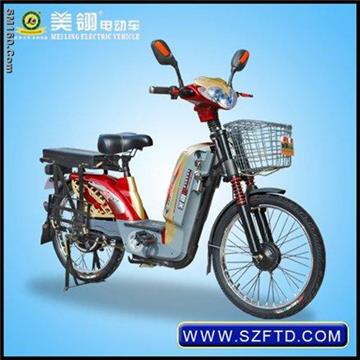 MZB electric bike