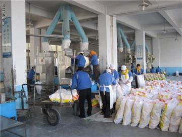 detergent powder/washing powder